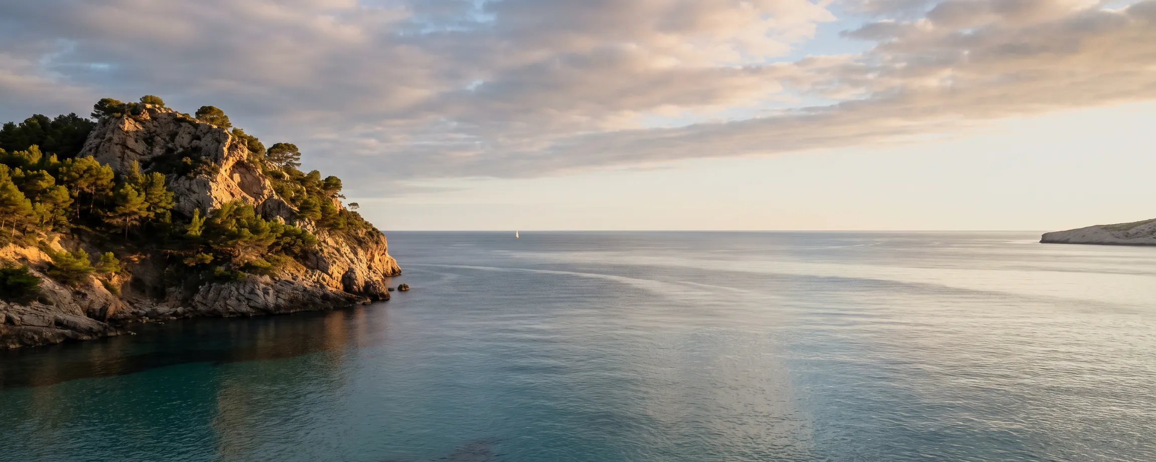A wooded headland at the left of the frame and open sea beyond it. The horizon runs the full width under a high sky.