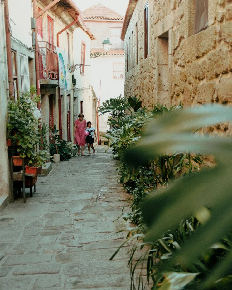 A stepped alley between stone houses, with plants in pots along one side. A figure walks away up the steps.